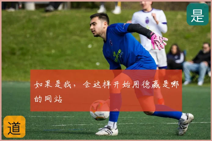 如果是我，会这样开始用德赢是哪的网站